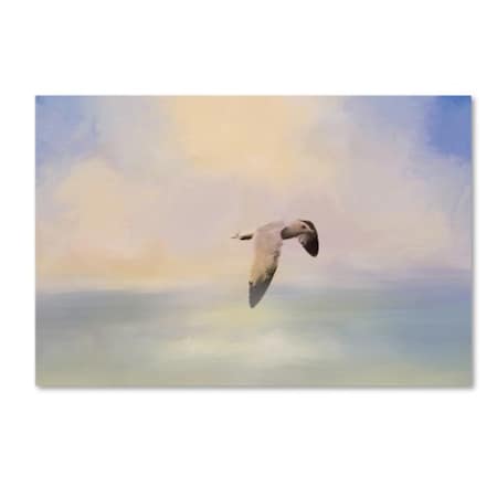 Jai Johnson 'Foggy Morning At Sea' Canvas Art,16x24